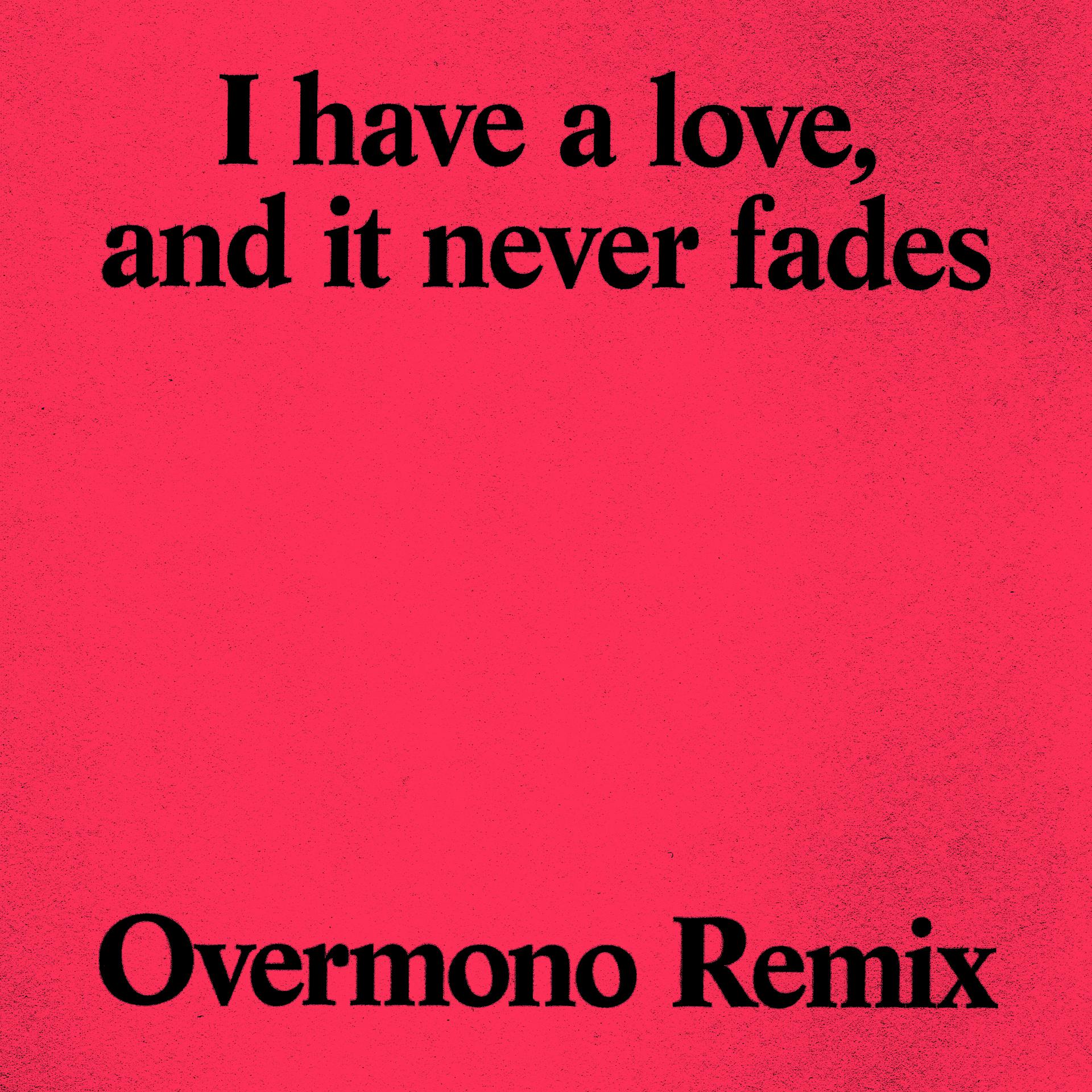 Постер альбома I Have a Love (Overmono Remix)