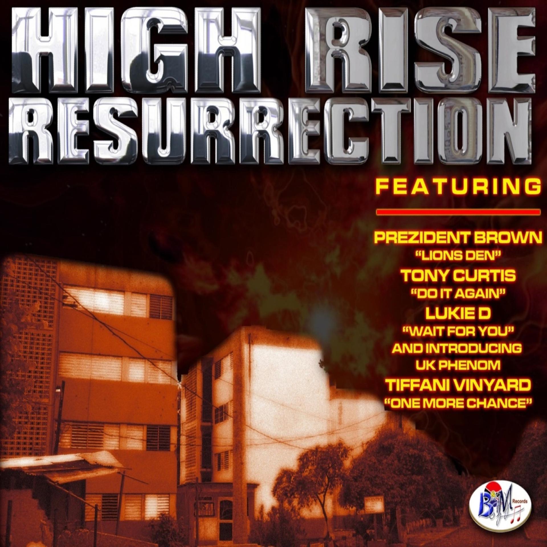 Постер альбома HIGH RISE RESSURRECTION