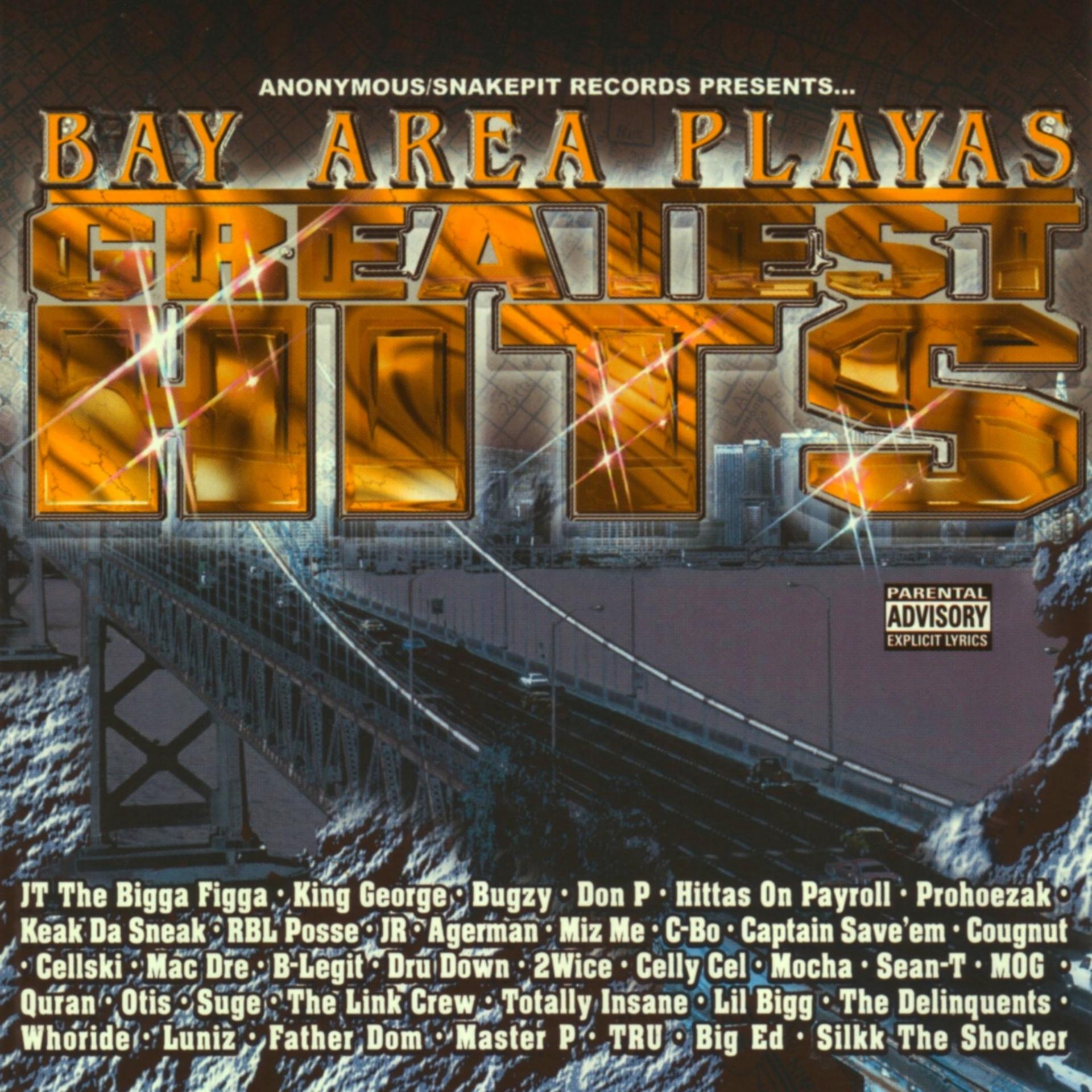 Постер альбома Bay Area Playas Greatest Hits