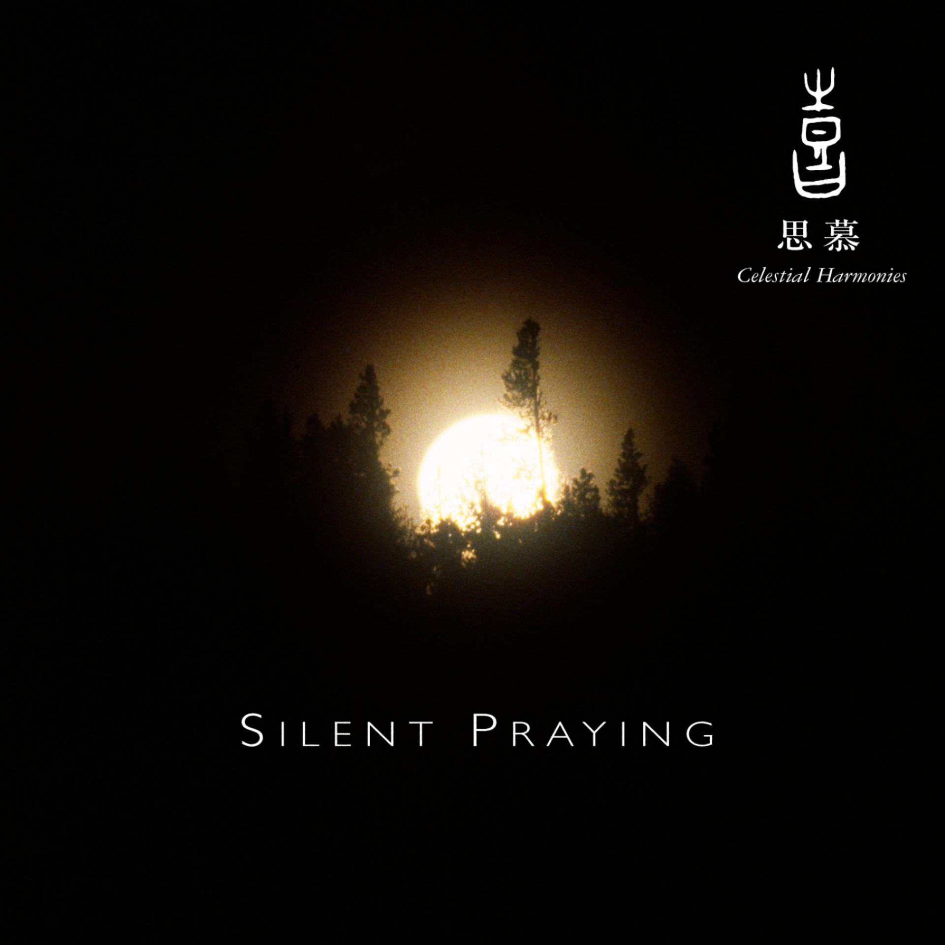 Постер альбома Celestial Scenery: Silent Praying, Volume 2