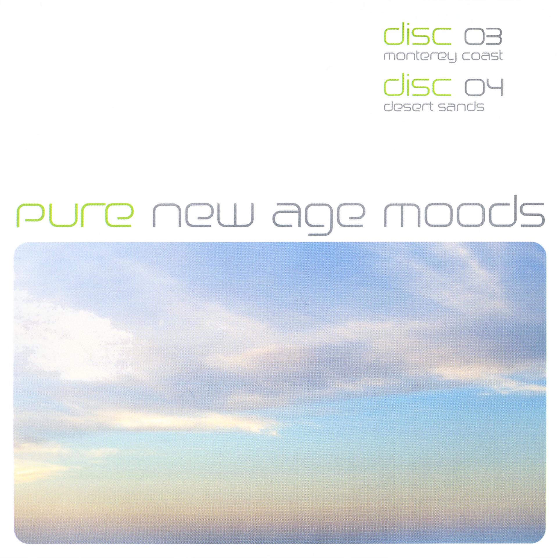Постер альбома Pure: New Age Moods