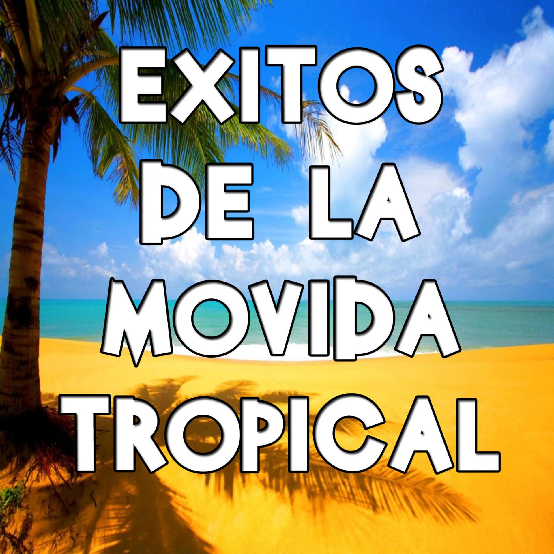 Постер альбома Exitos de la Movida Tropical