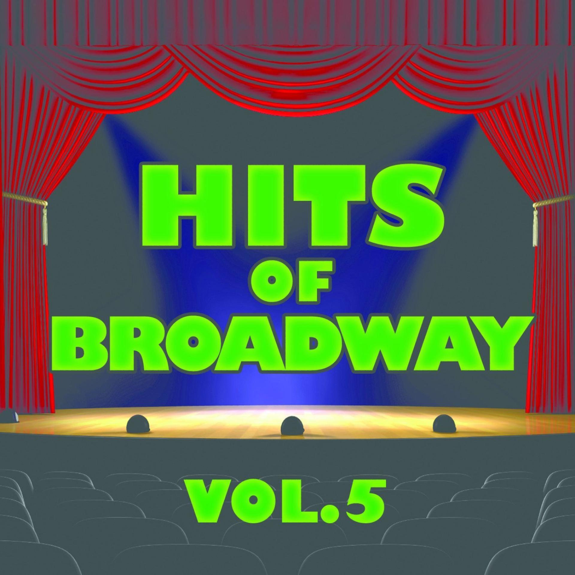 Постер альбома Hits of Broadway Vol.5
