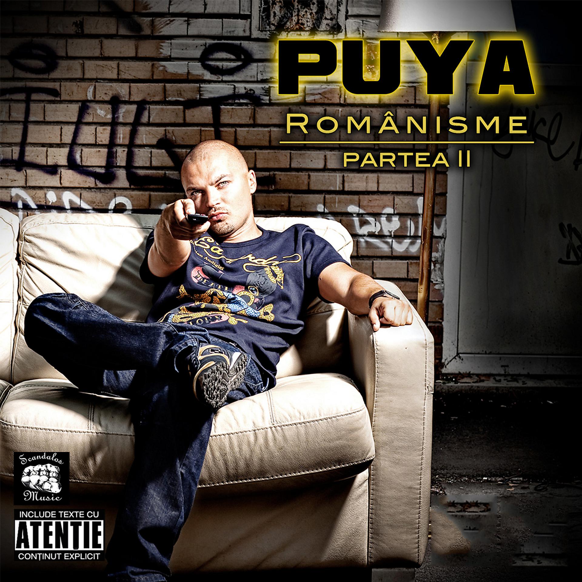 Постер альбома Românisme - Partea II