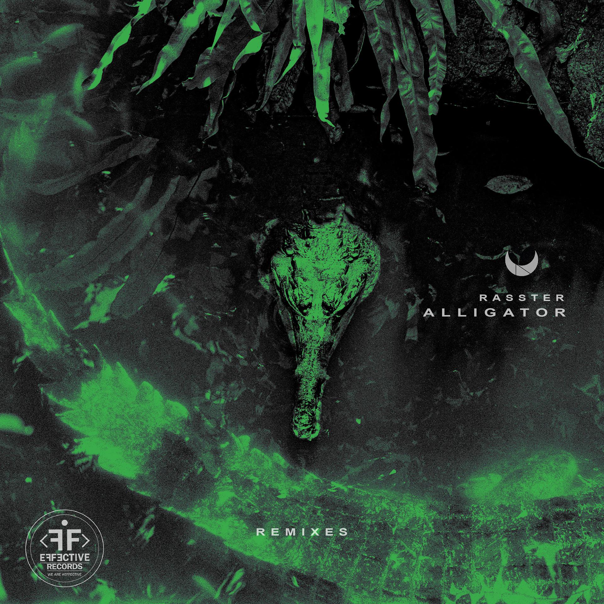 Постер альбома Alligator Remixes