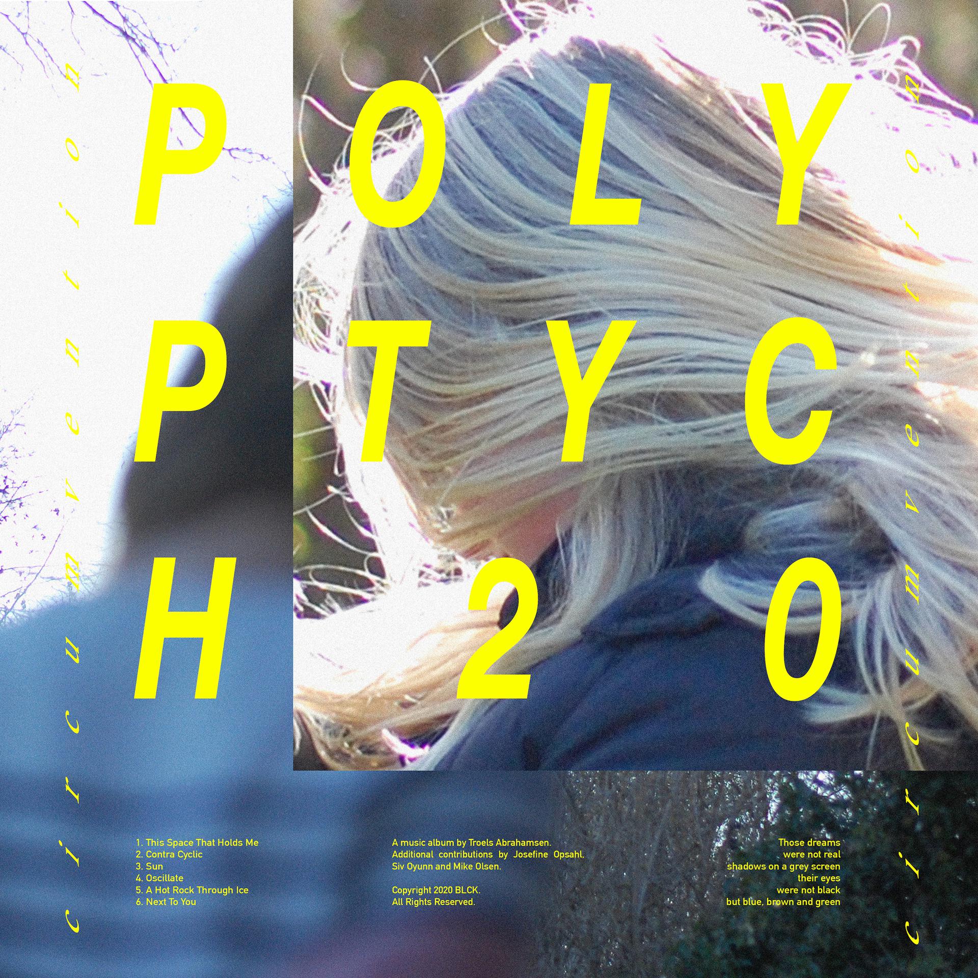 Постер альбома Polyptych20 / Circumvention