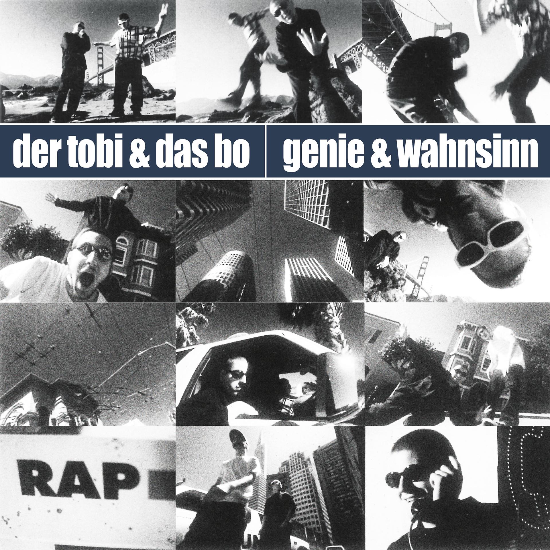Постер альбома Genie und Wahnsinn (Wir sind die Best Ofs)