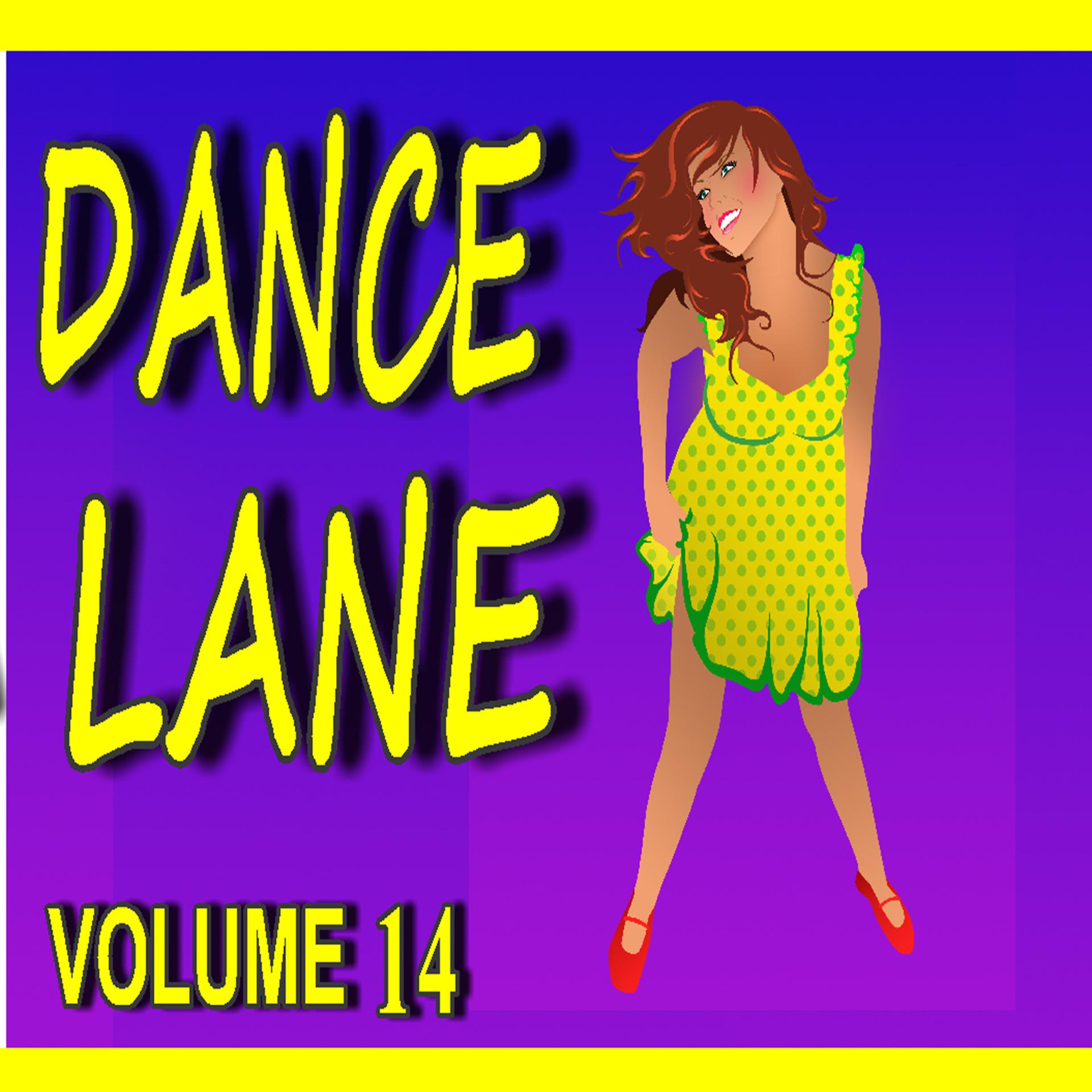 Постер альбома Dance Lane, Vol. 14