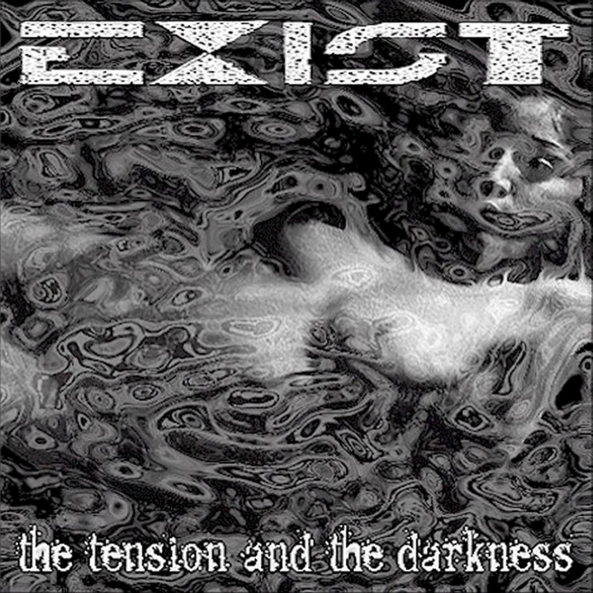 Постер альбома The Tension And The Darkness