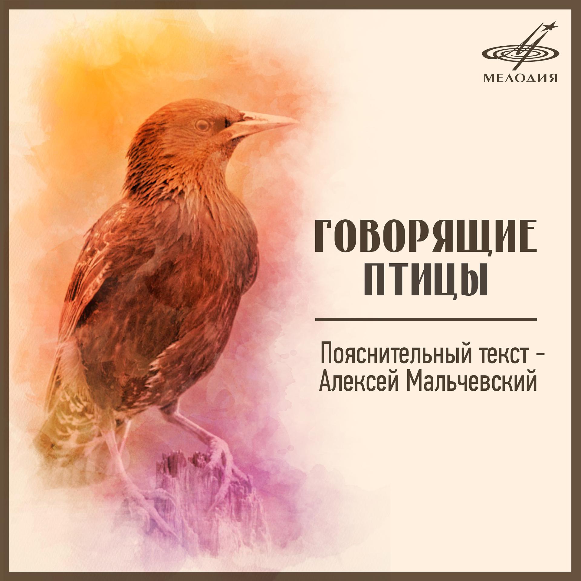 Постер альбома Говорящие птицы