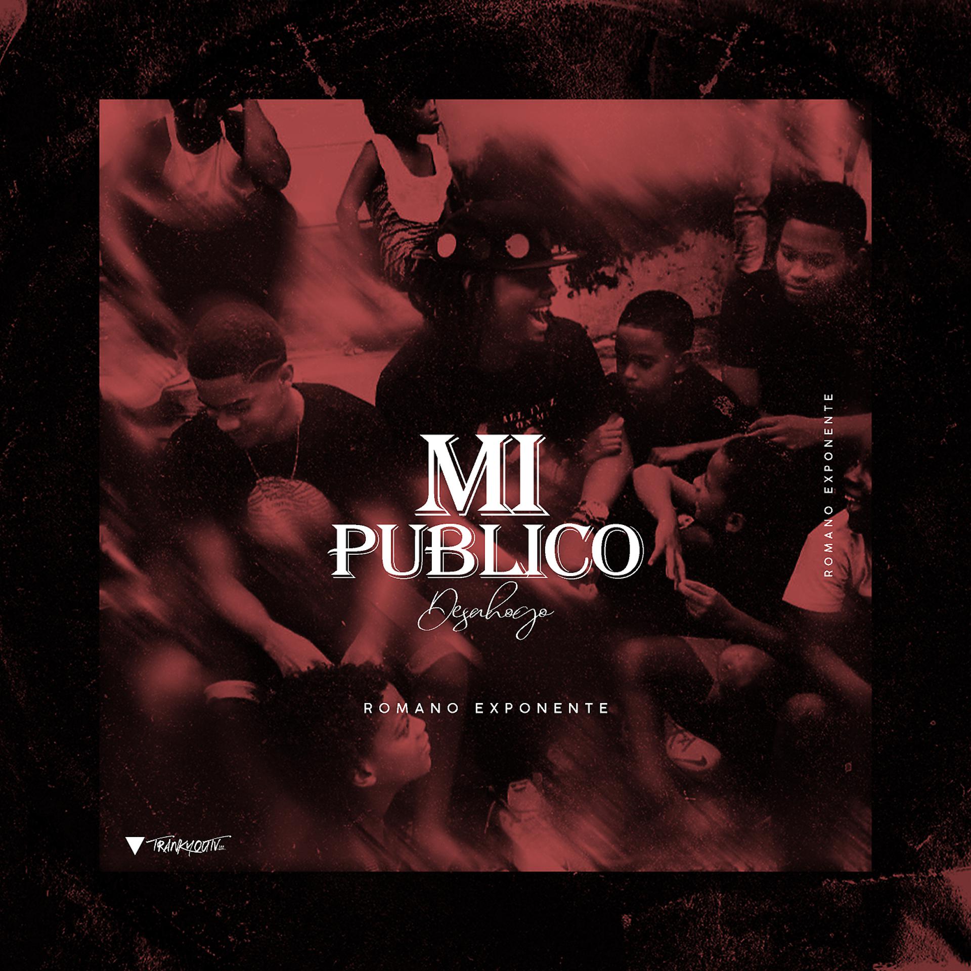 Постер альбома Mi Publico