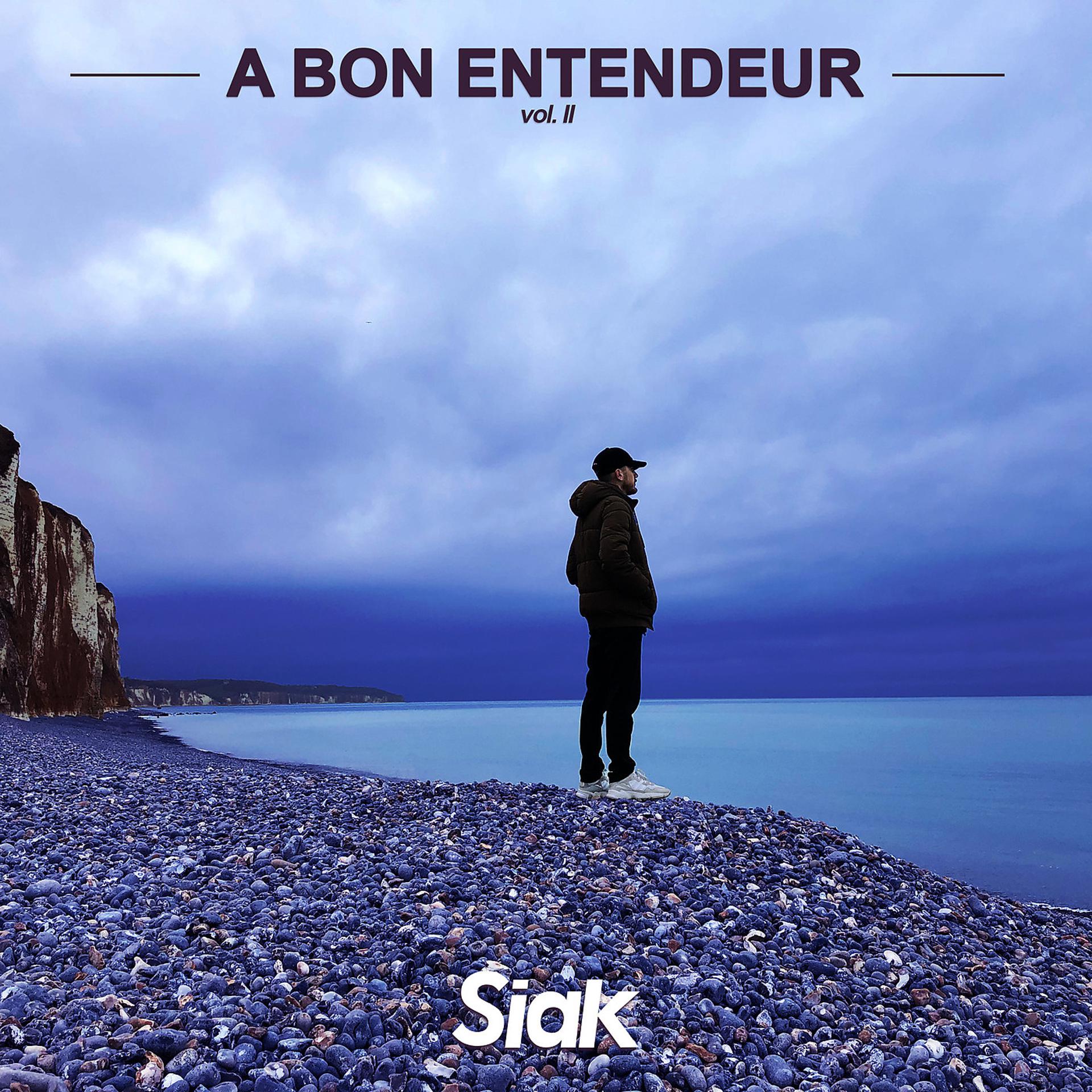 Постер альбома A Bon Entendeur, Vol.2