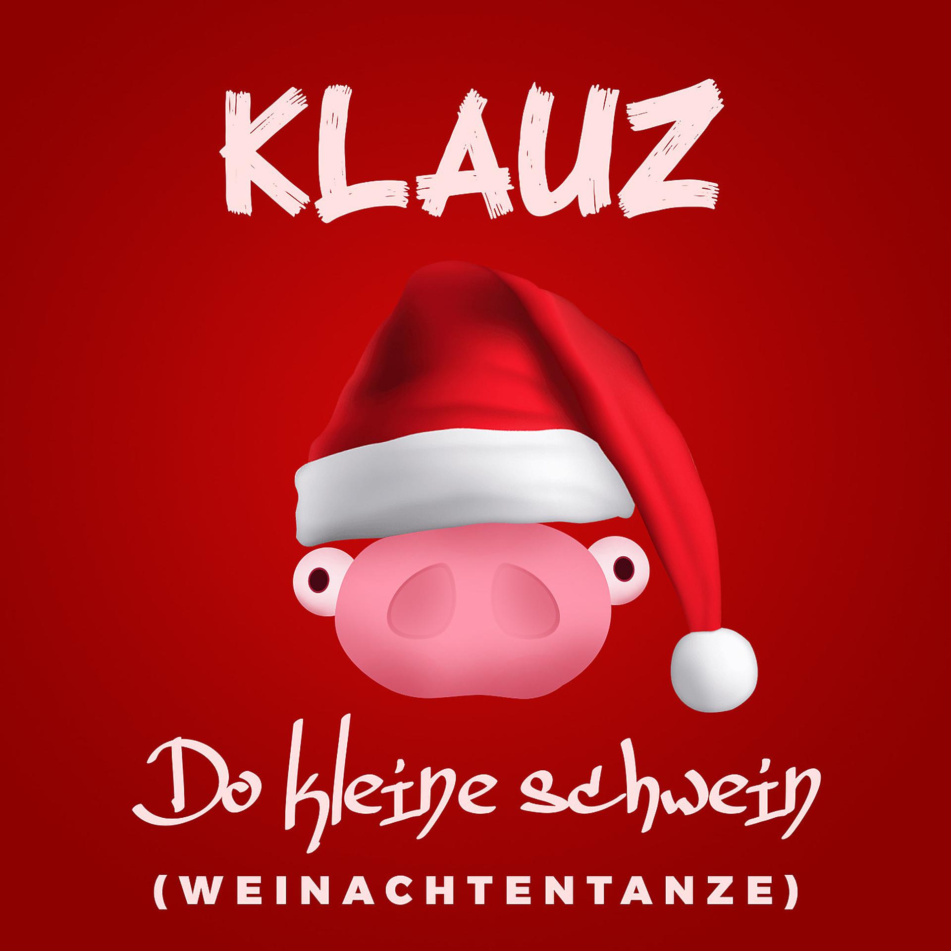 Постер альбома Do Kleine Schwein (Weinachtentanze)