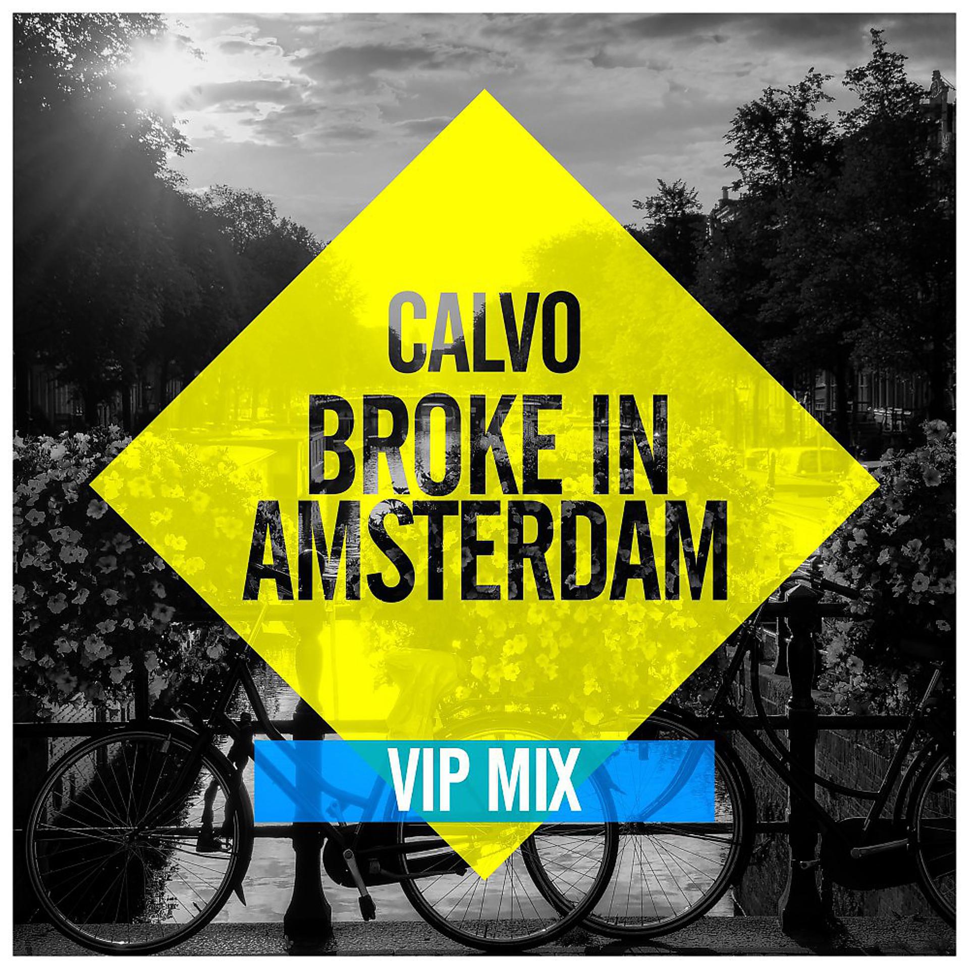 Постер альбома Broke in Amsterdam (VIP Mix)