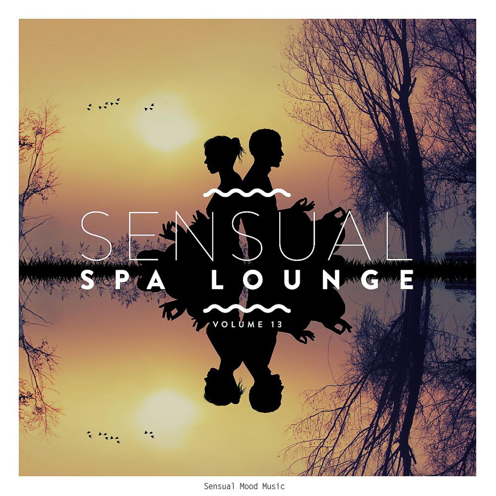 Постер альбома Sensual Spa Lounge, Vol. 13