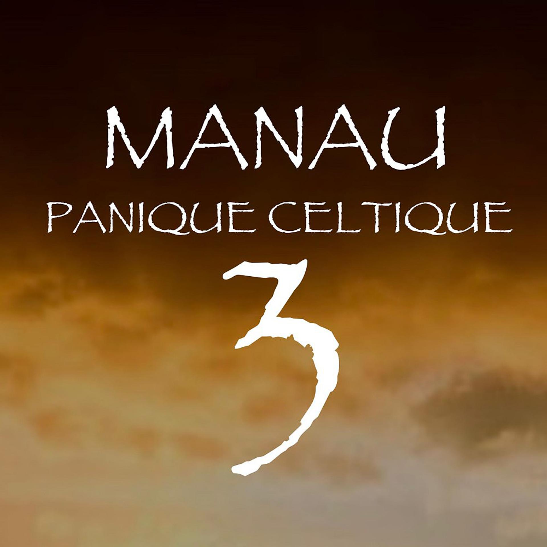 Постер альбома Panique celtique 3