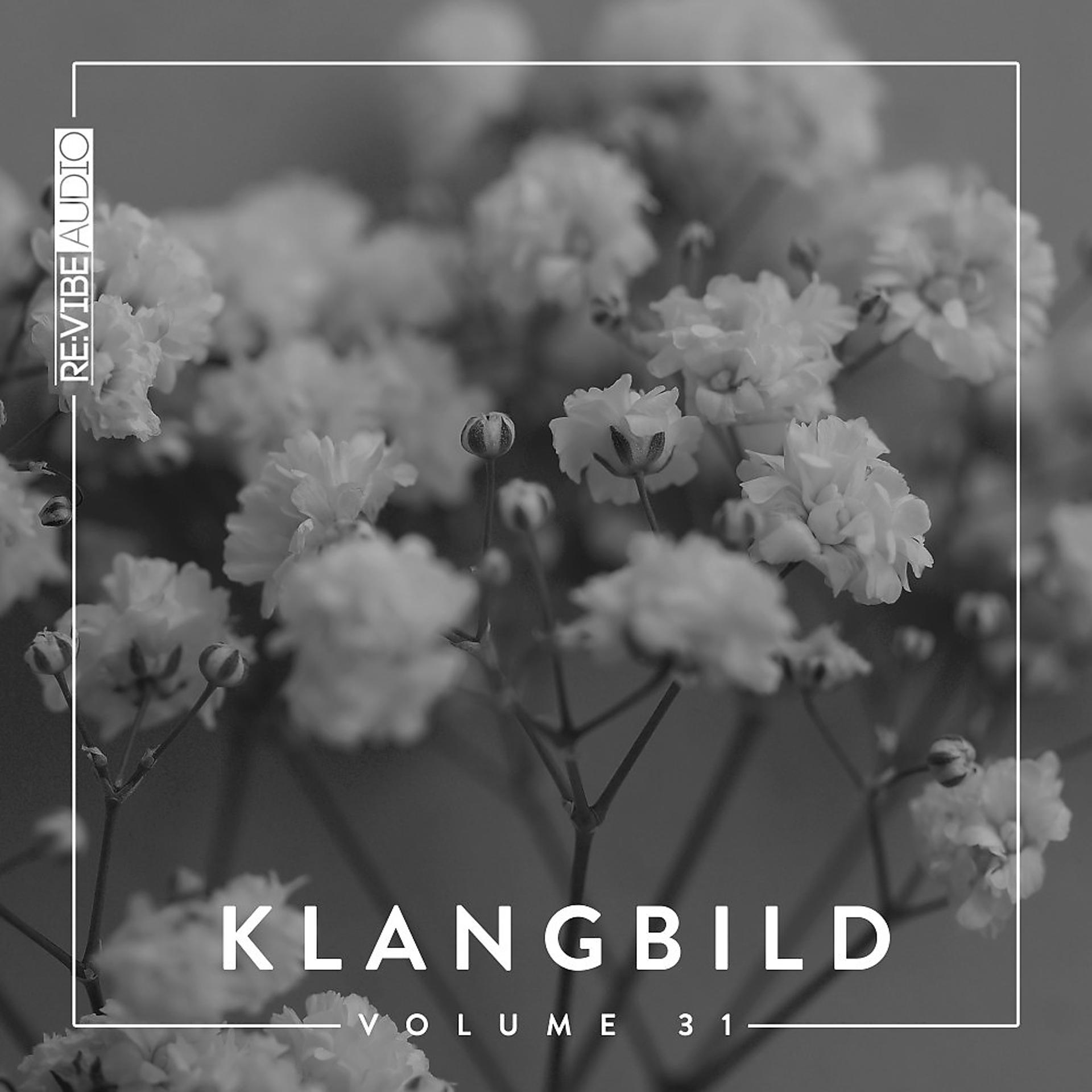 Постер альбома Klangbild, Vol. 31