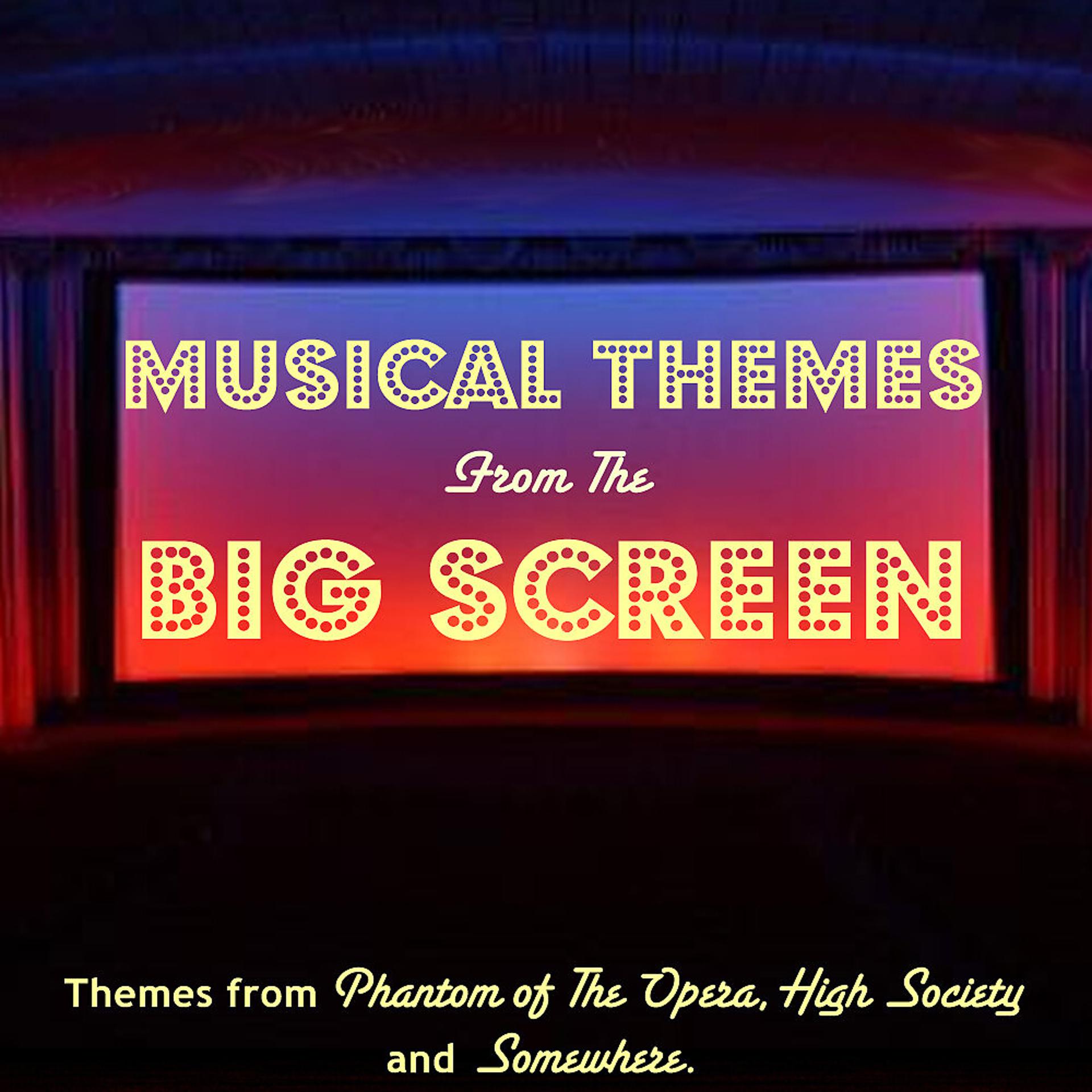 Постер альбома Musical Themes From The Big Screen