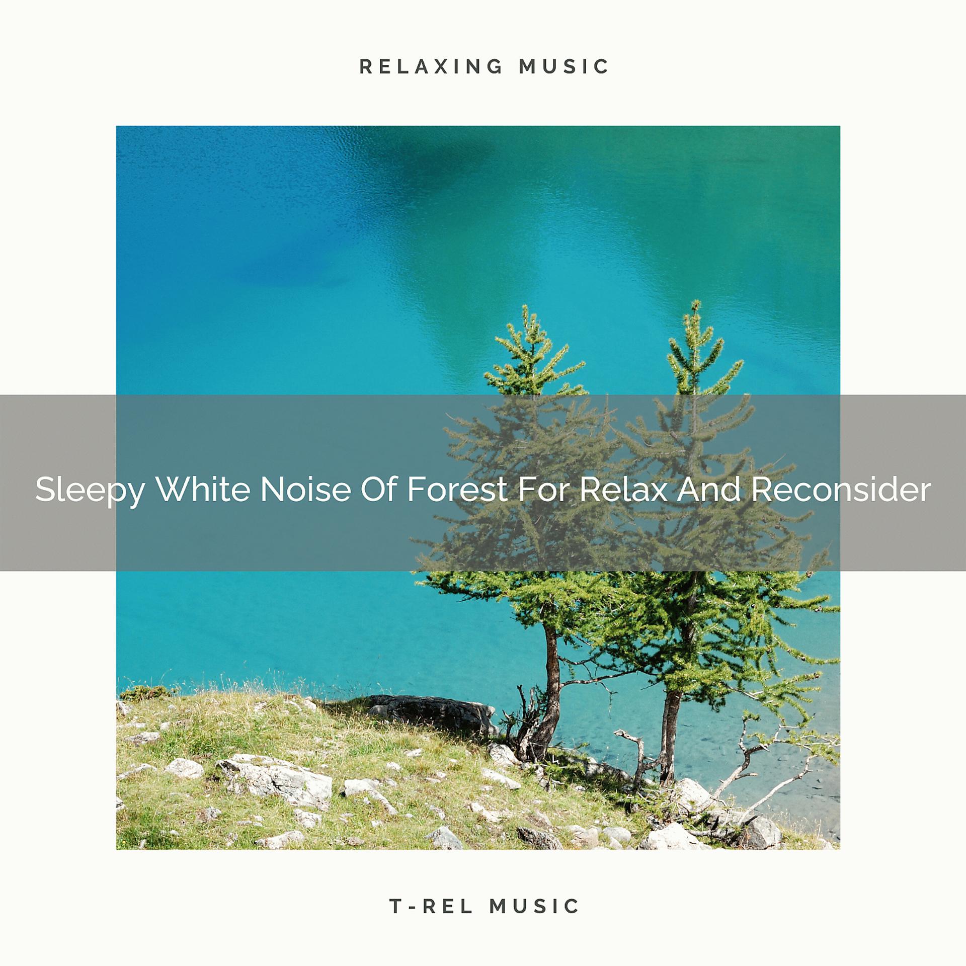 Постер альбома Sleepy White Noise Of Forest For Relax And Reconsider