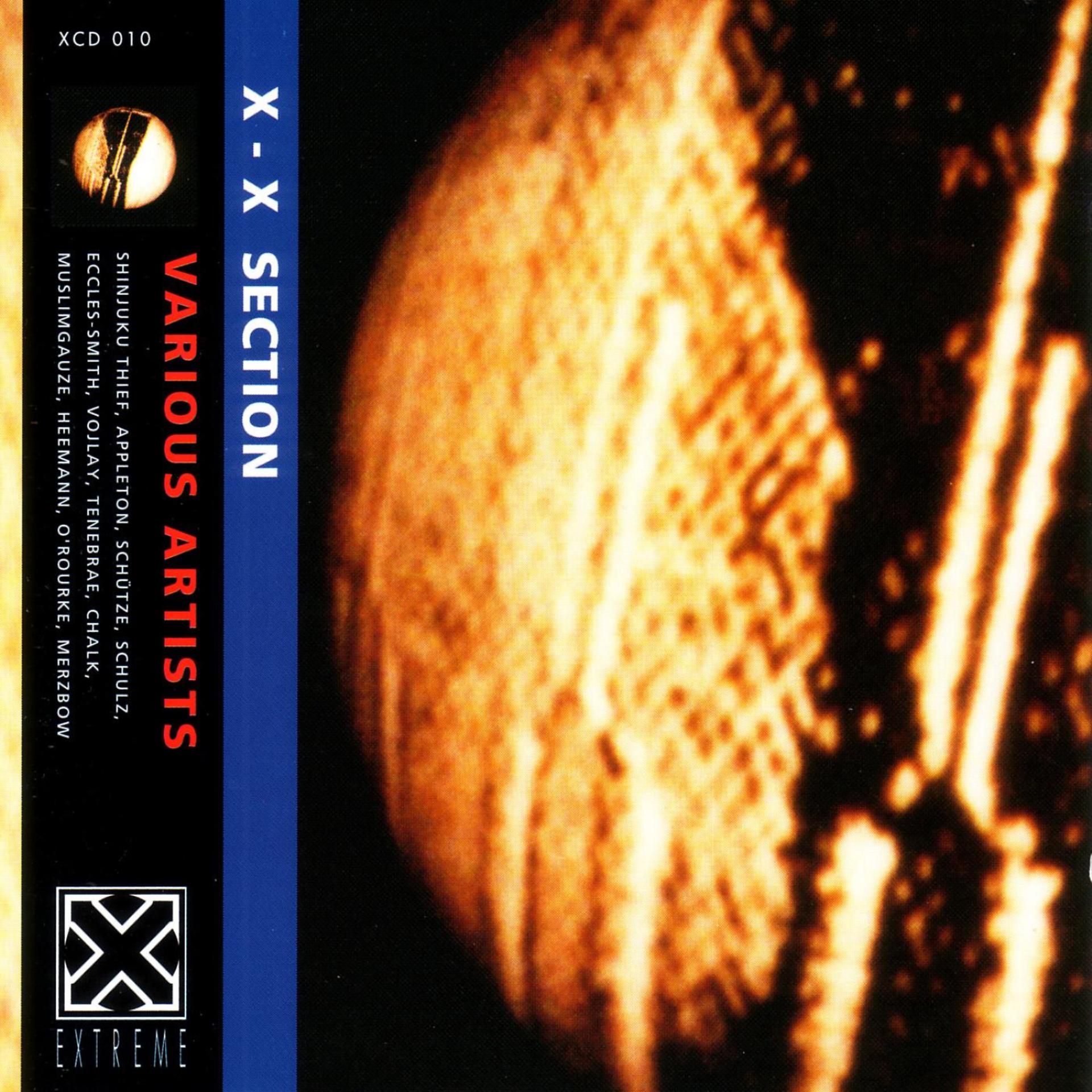Постер альбома X-X Section