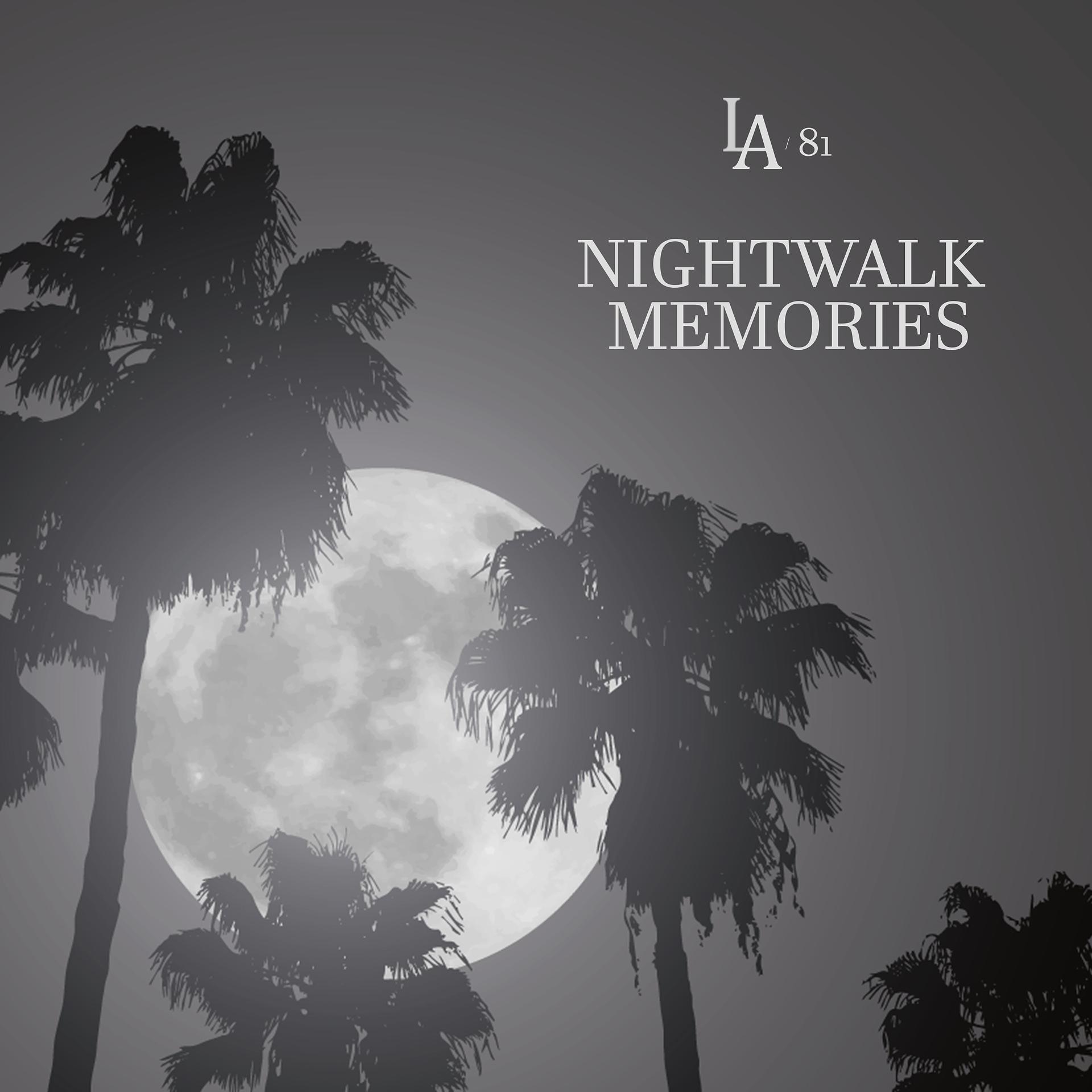 Постер альбома Nightwalk Memories