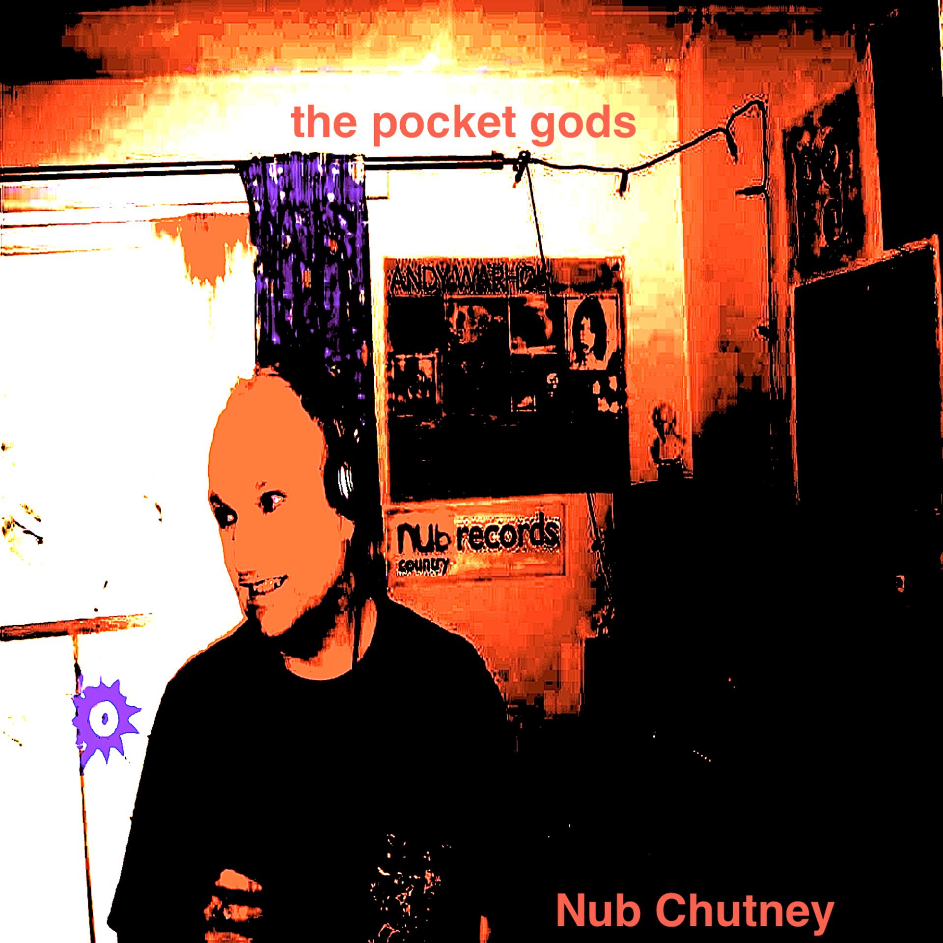 Постер альбома Nub Chutney
