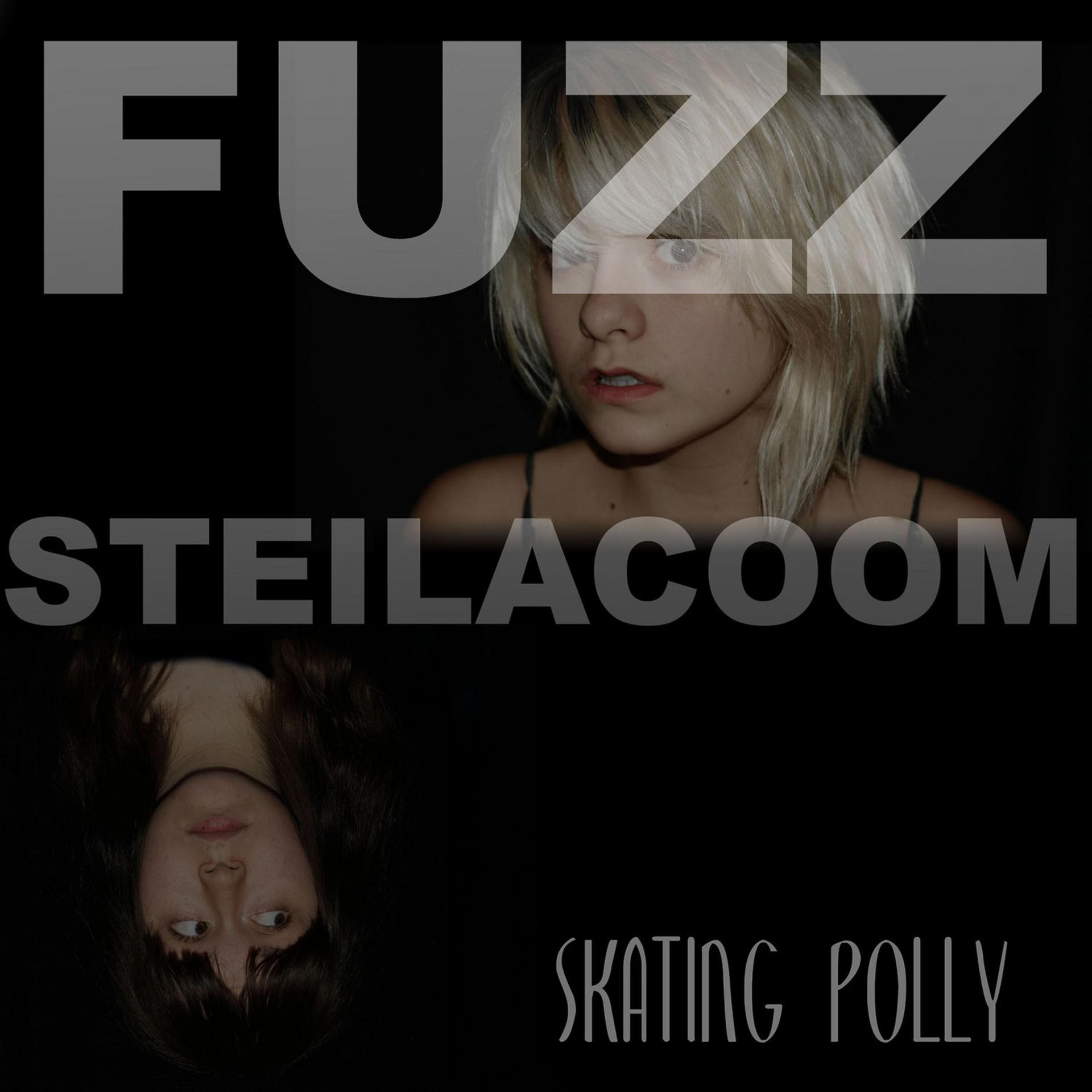 Постер альбома Fuzz Steilacoom