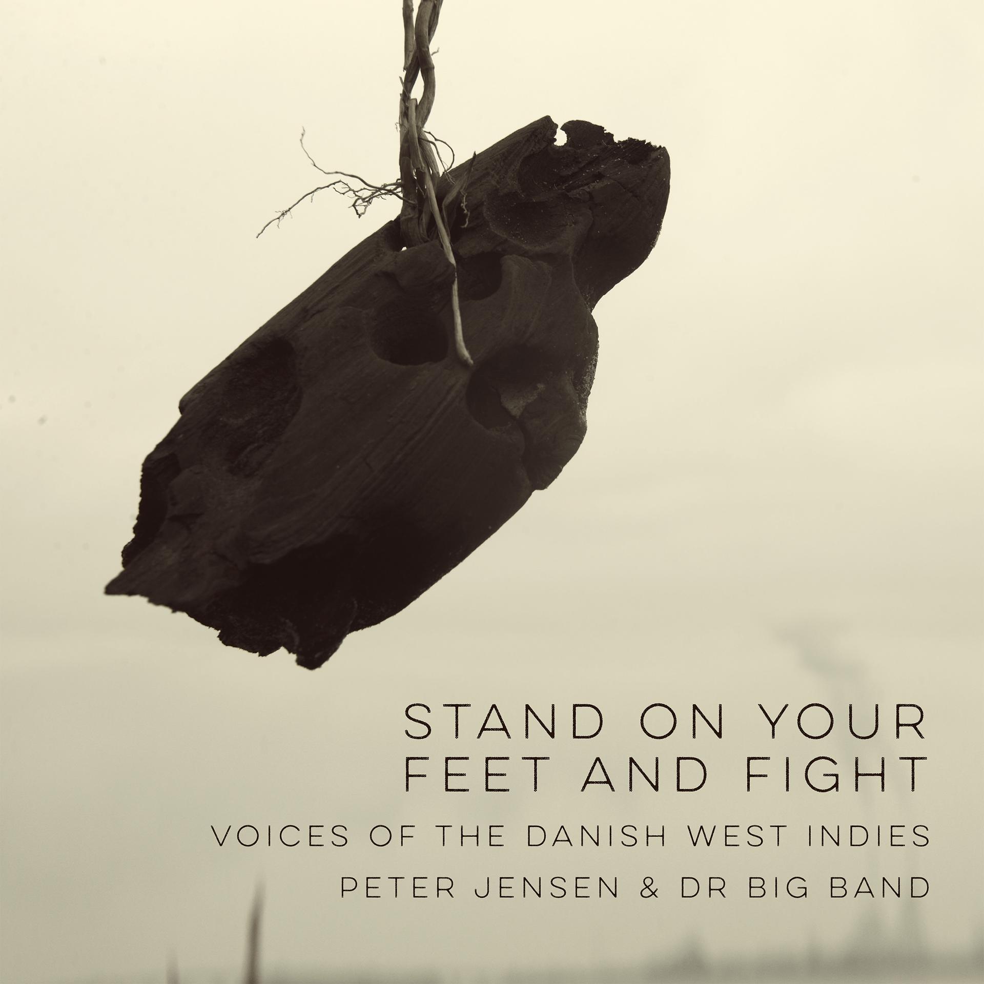 Постер альбома Stand on Your Feet and Fight - Voices of the Danish West Indies