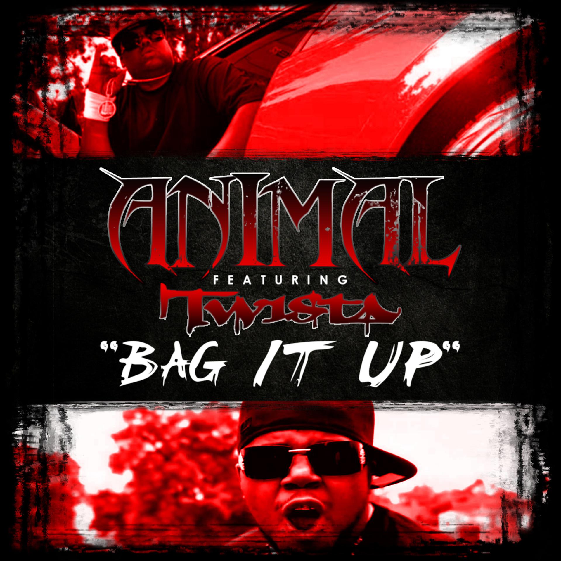 Постер альбома Bag It Up ft. Twista
