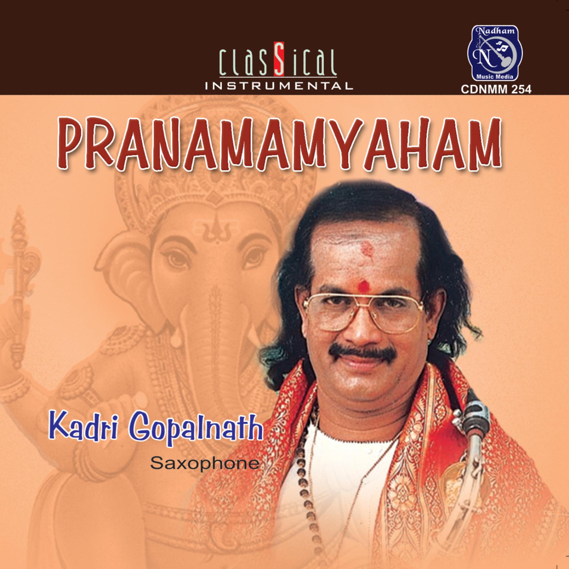 Постер альбома Pranamamyaham