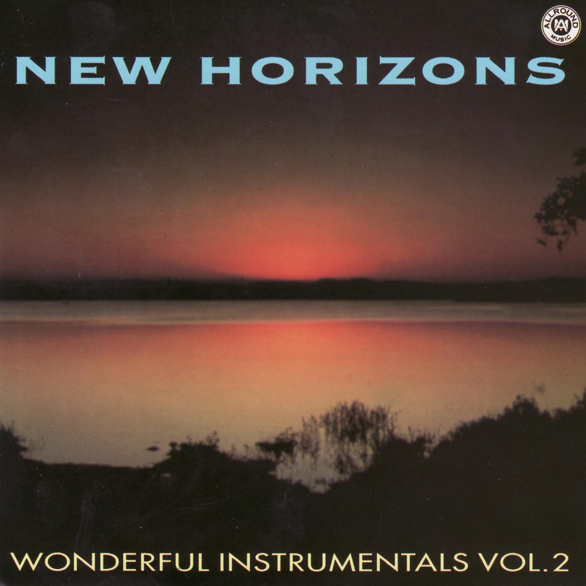 Постер альбома Wonderful Instrumentals Vol. 2