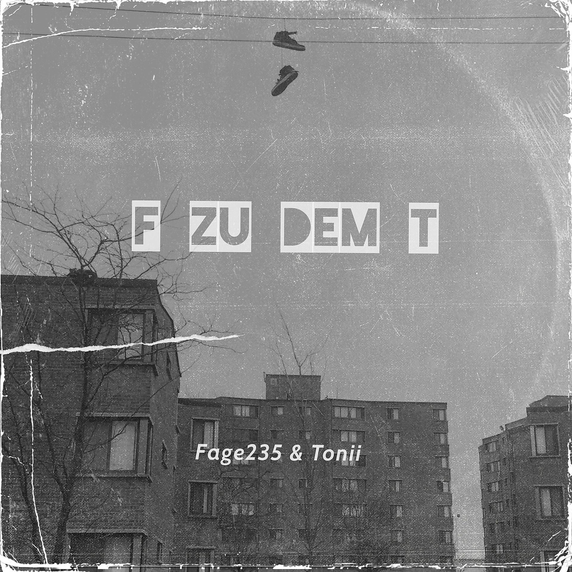 Постер альбома F Zu Dem T