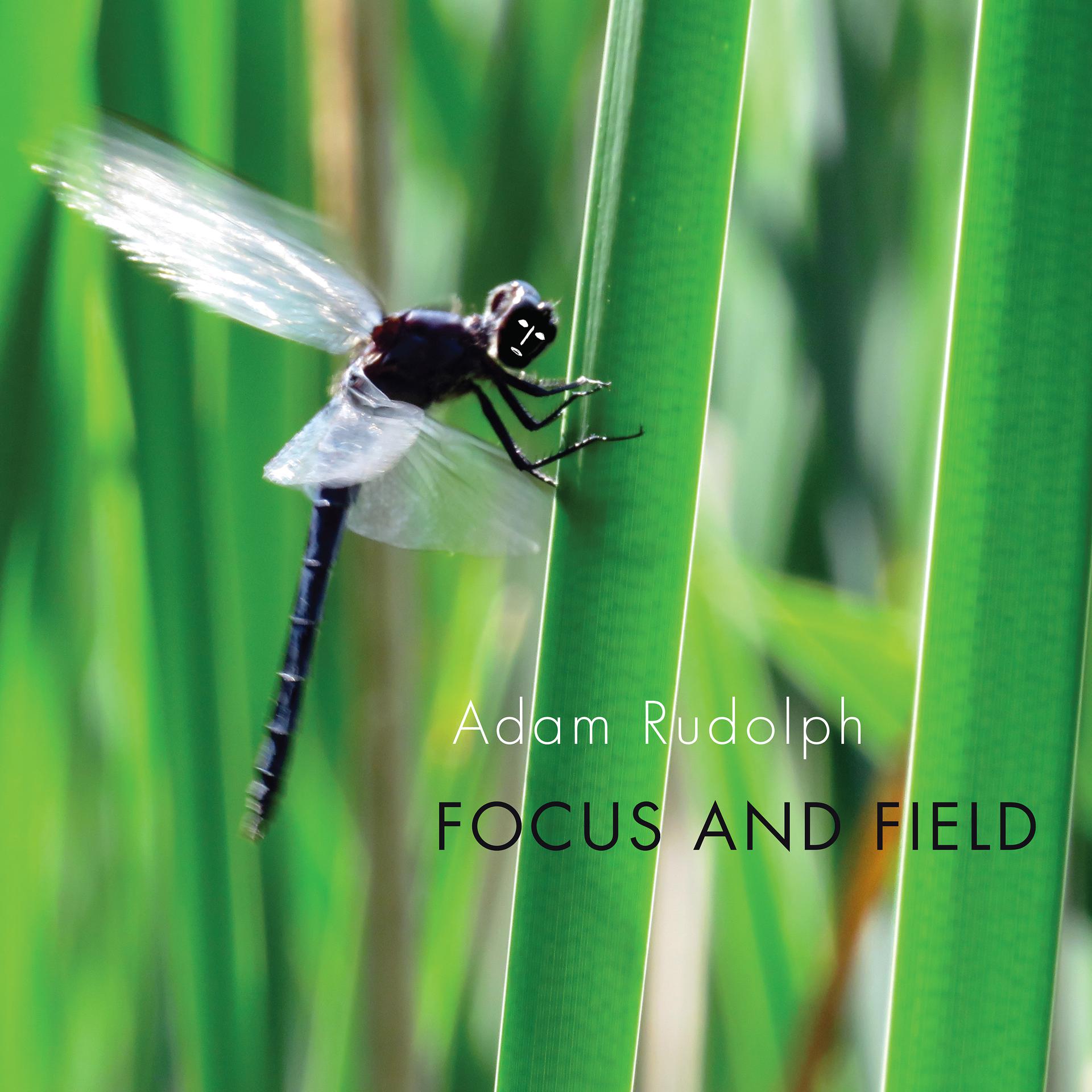 Постер альбома Focus and Field