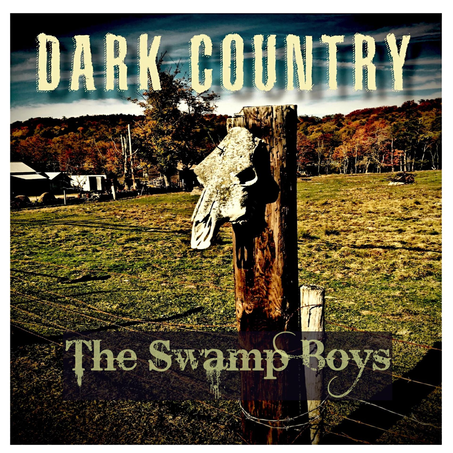 Постер альбома Dark Country