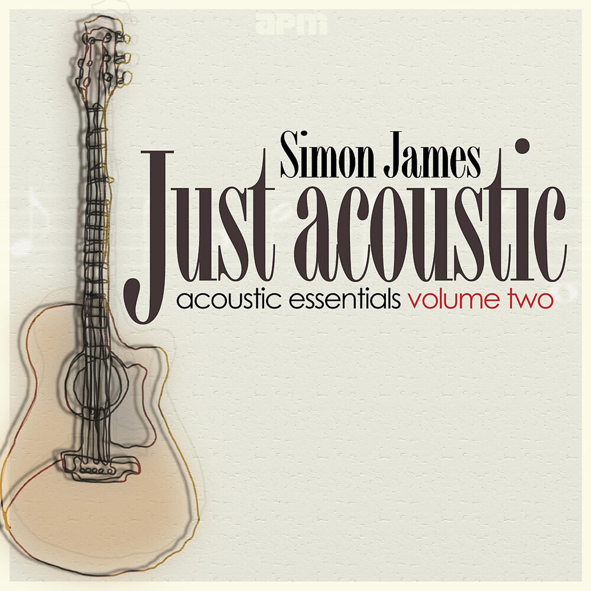 Постер альбома Just Acoustic - Acoustic Essentials Vol 2