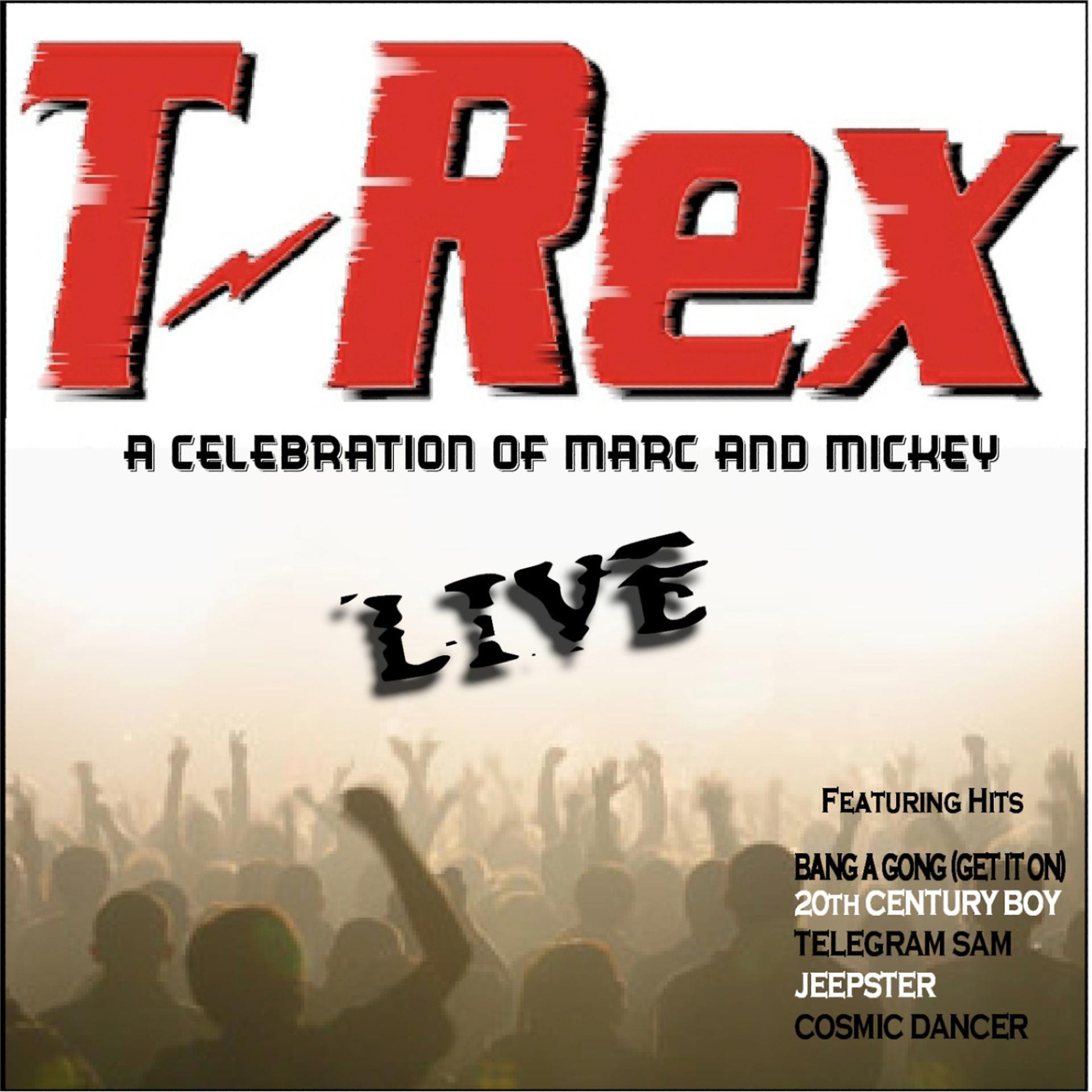 Постер альбома T-Rex Live