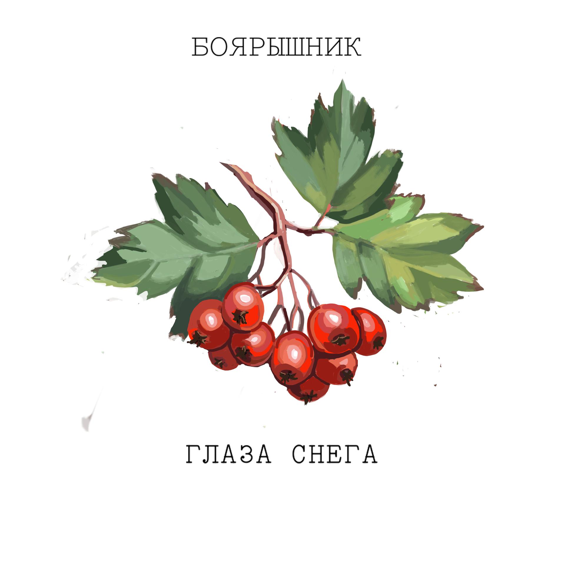 Постер альбома Боярышник