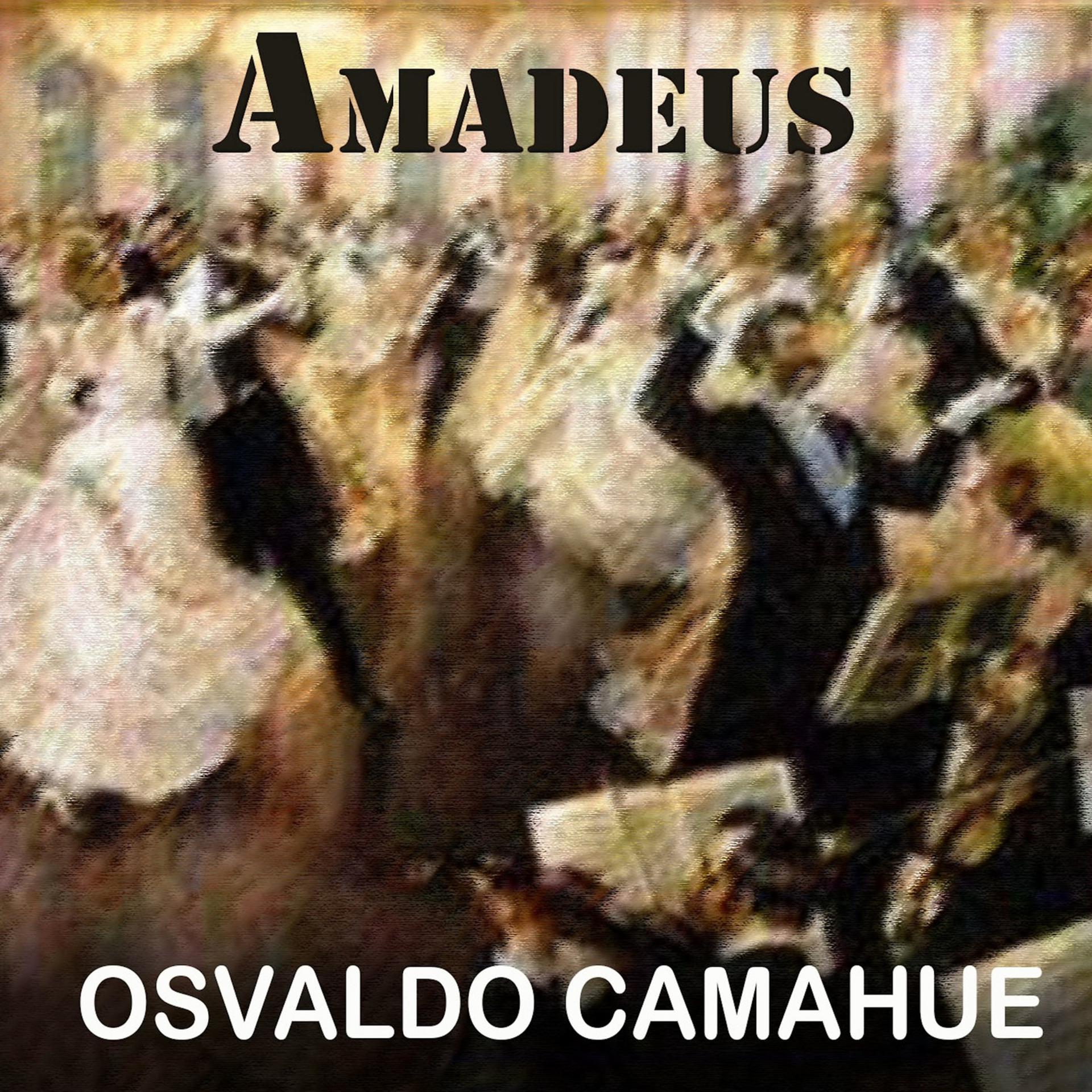 Постер альбома Amadeus