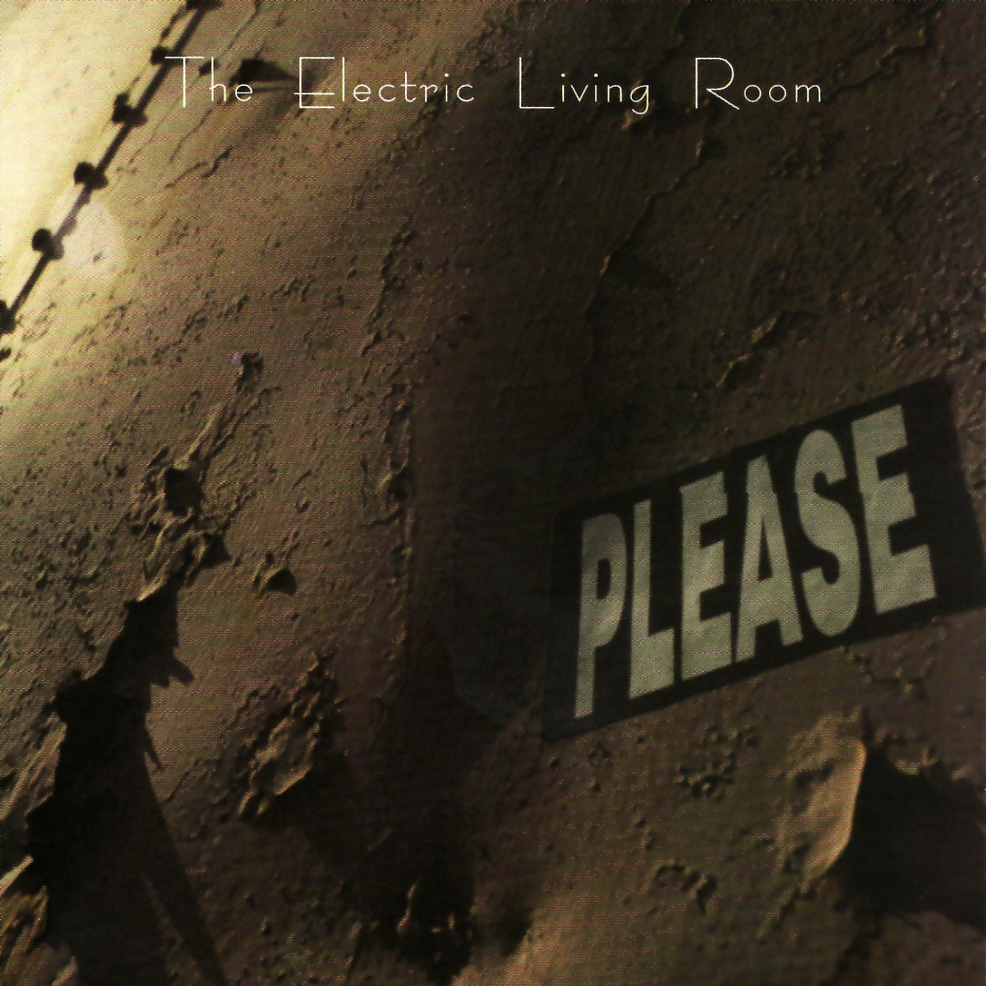 Постер альбома The Electric Living Room