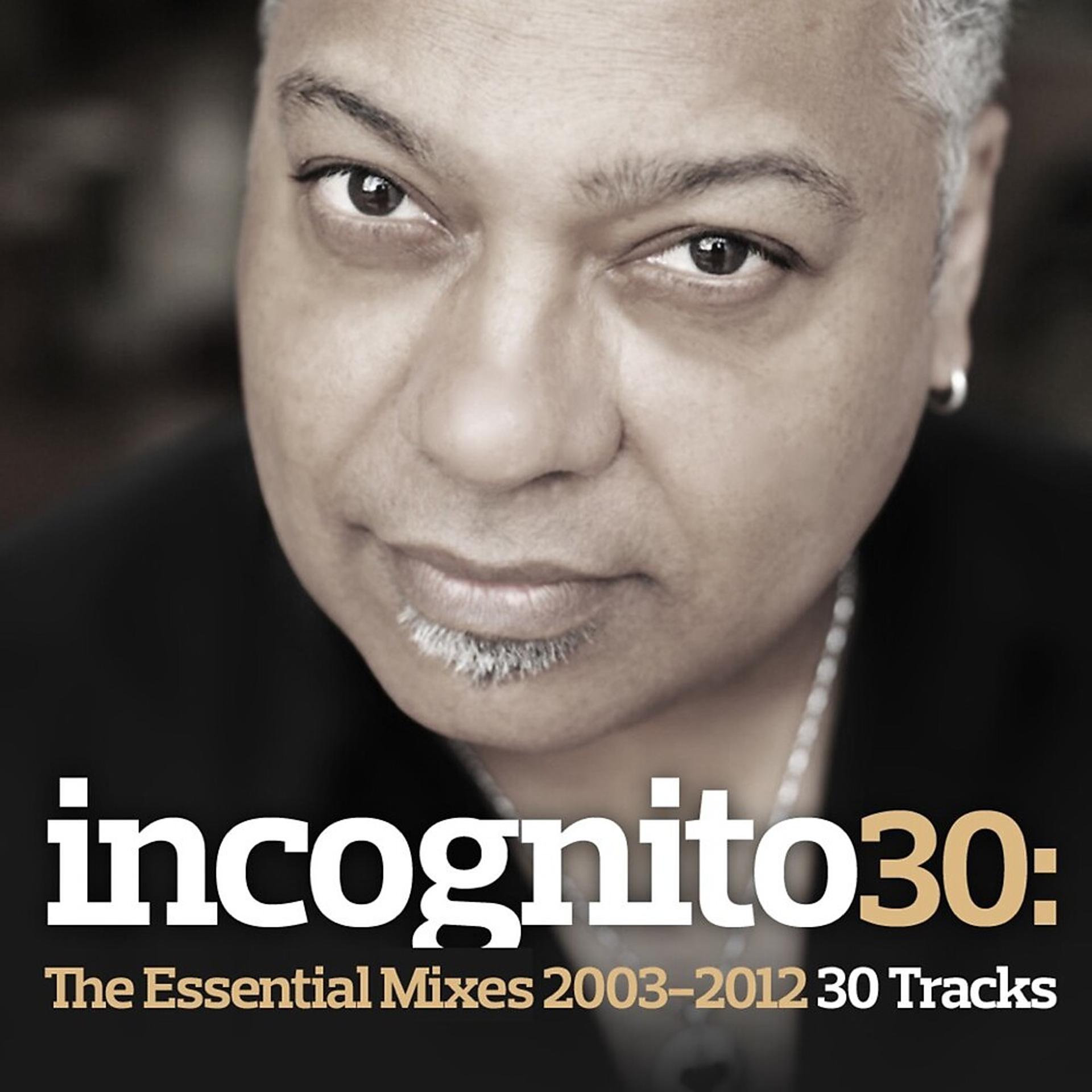 Постер альбома Incognito 30: The Essential Mixes 2003-2012