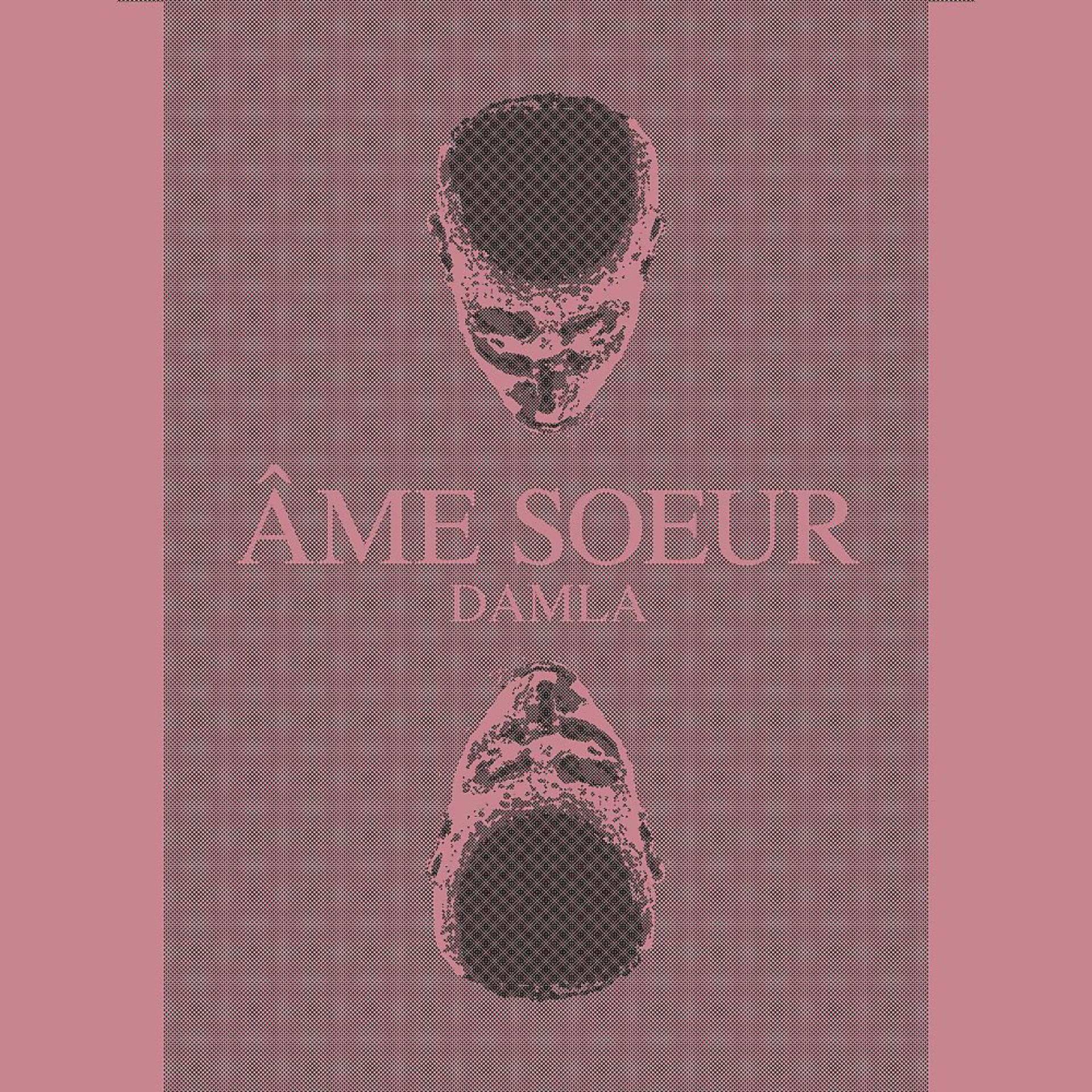 Постер альбома Âme soeur