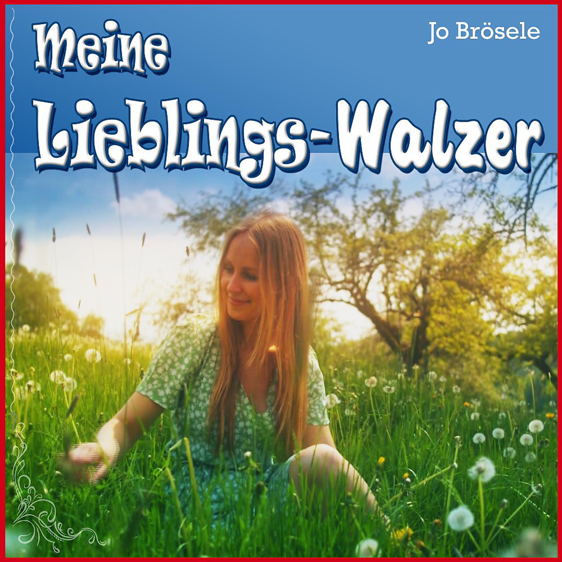 Постер альбома Meine Lieblings-Walzer