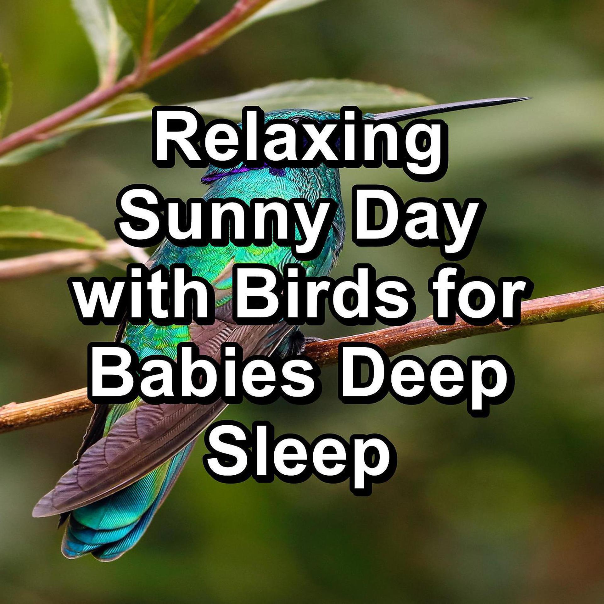 Постер альбома Relaxing Sunny Day with Birds for Babies Deep Sleep