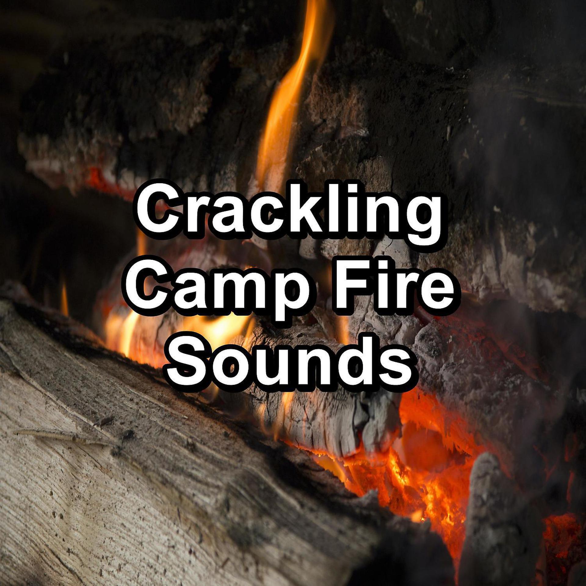 Постер альбома Crackling Camp Fire Sounds