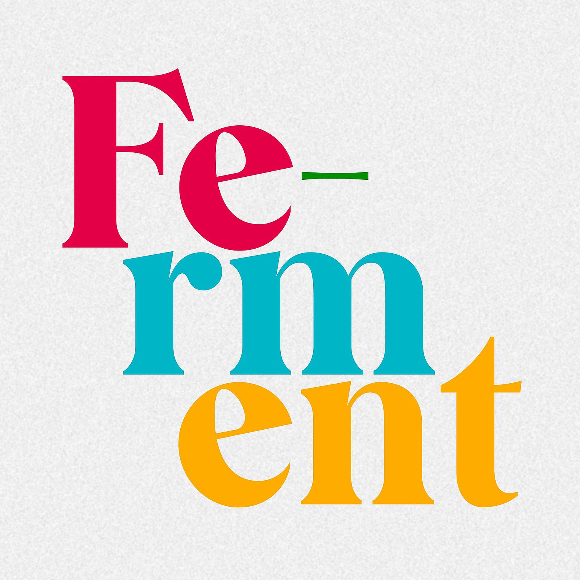 Постер альбома Ferment