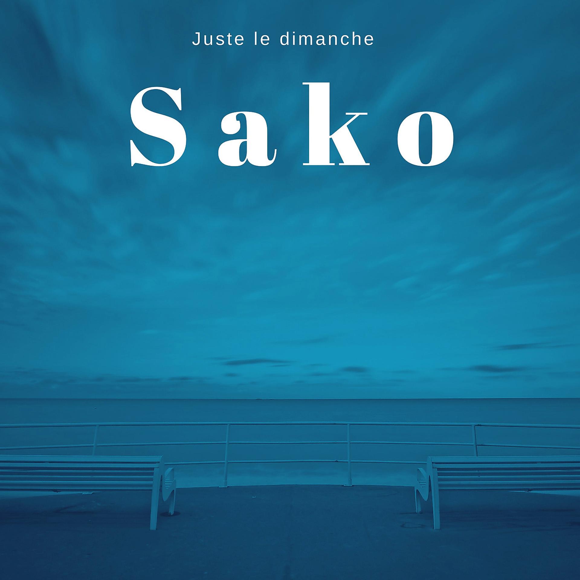 Постер альбома Sako