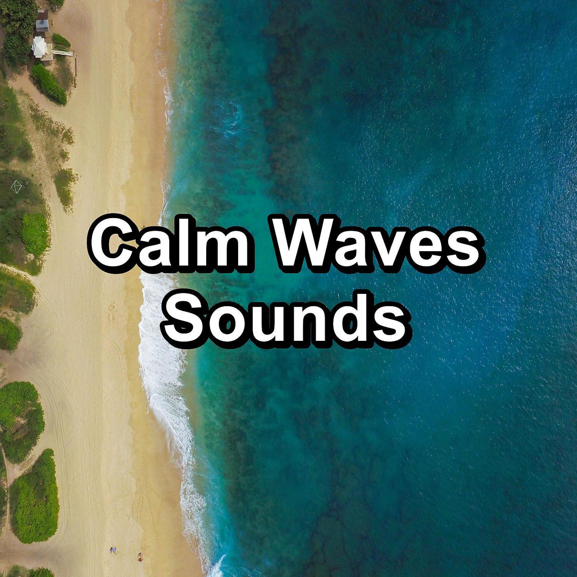 Постер альбома Calm Waves Sounds