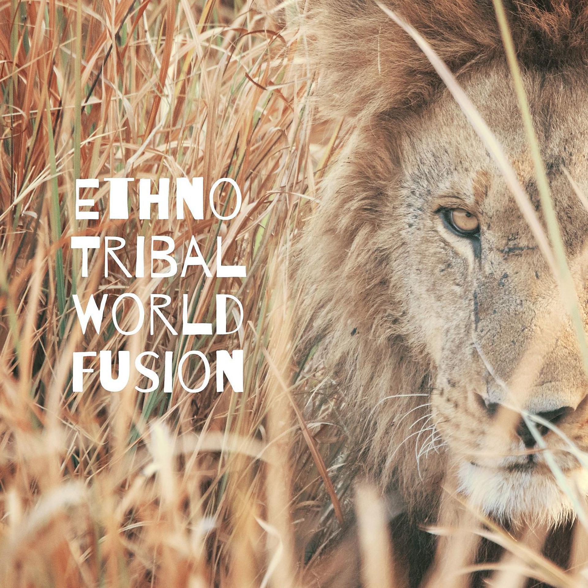 Постер альбома Ethno Tribal World Fusion