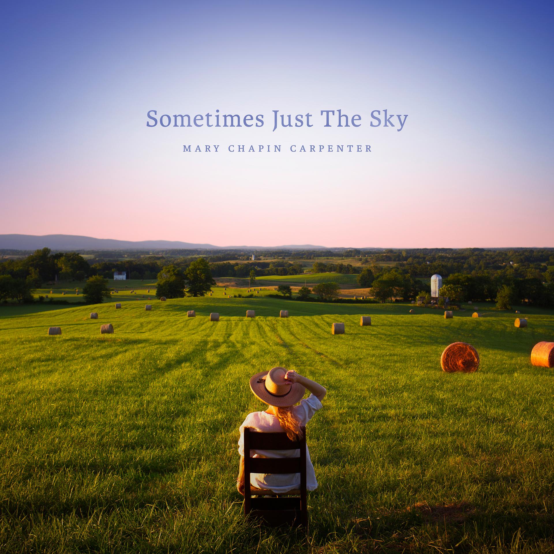 Постер альбома Sometimes Just the Sky