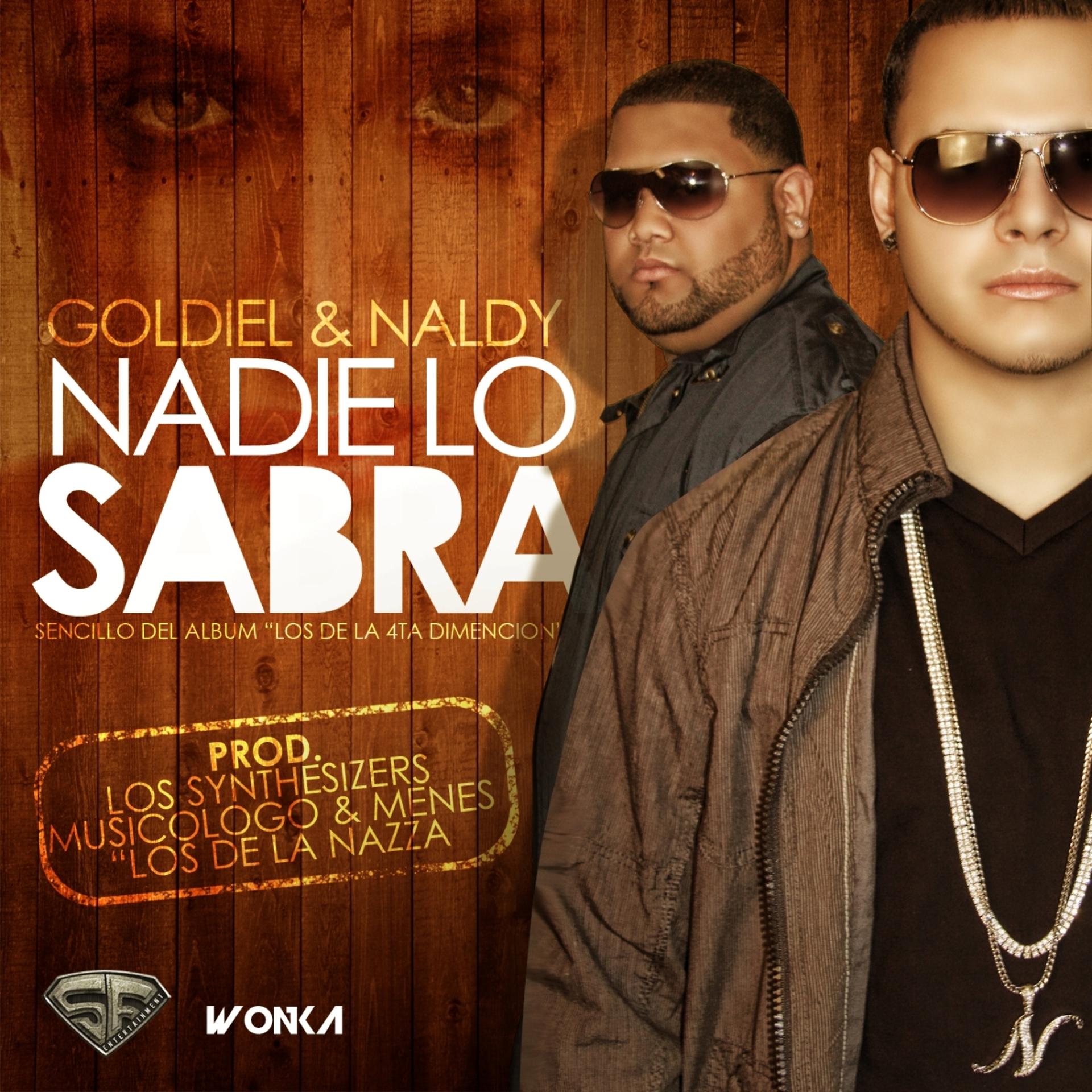Постер альбома Nadie Lo Sabra